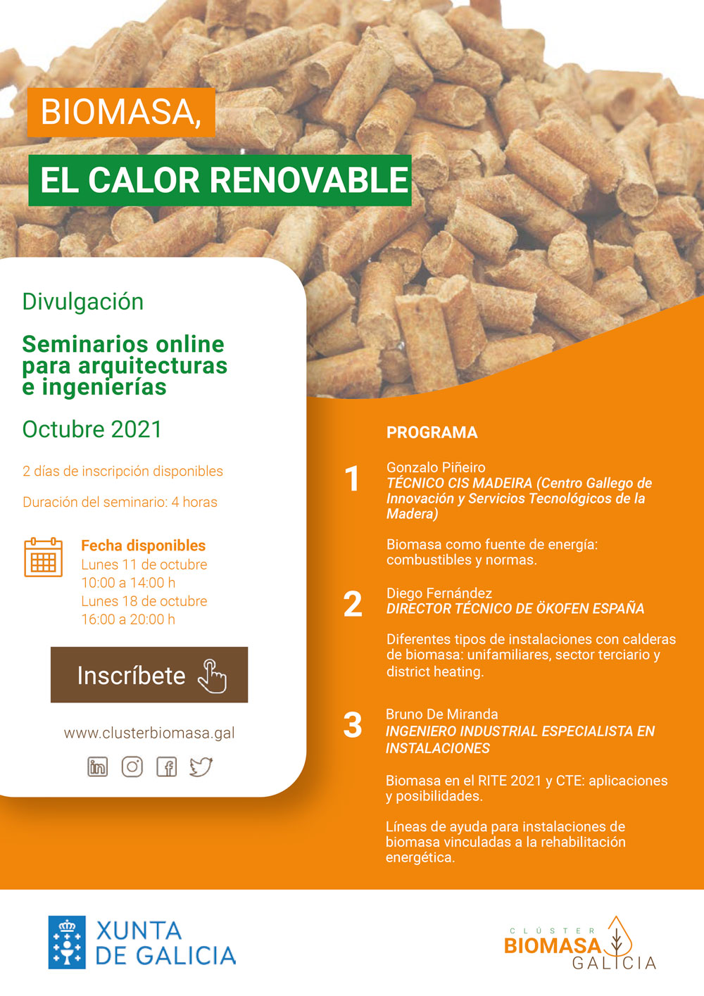 webinars calderas de biomasa